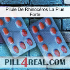 Pilule De Rhinocéros La Plus Forte 05